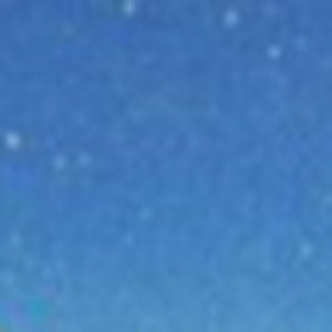 Meet your Posher, Allen